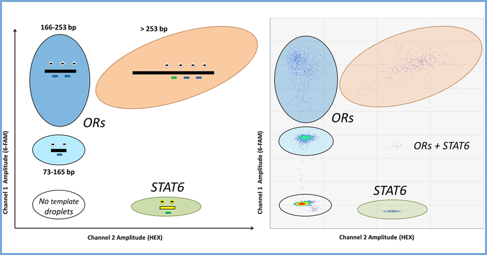 Evaluating the quantity Exactis Innovation