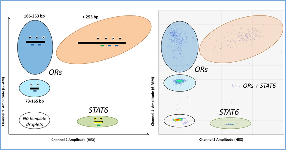 Evaluating the quantity, quality and size distribution of cell‑free DNA by multiplex droplet digital PCR