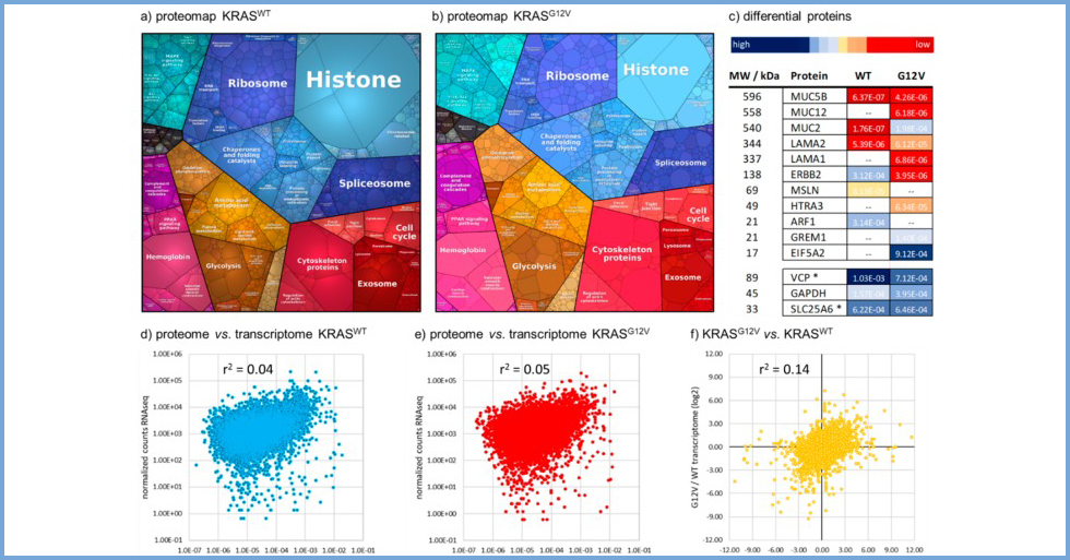 Proteogenomics of Colorectal Cancer Liver Metastases Exactis Innovation